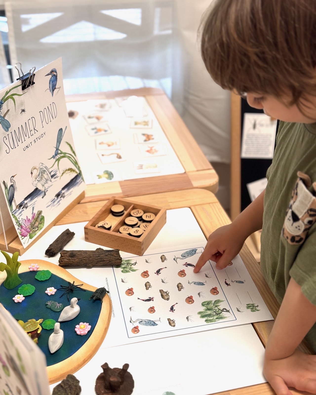 A child exploring a connected pond-life investigation through hands-on materials