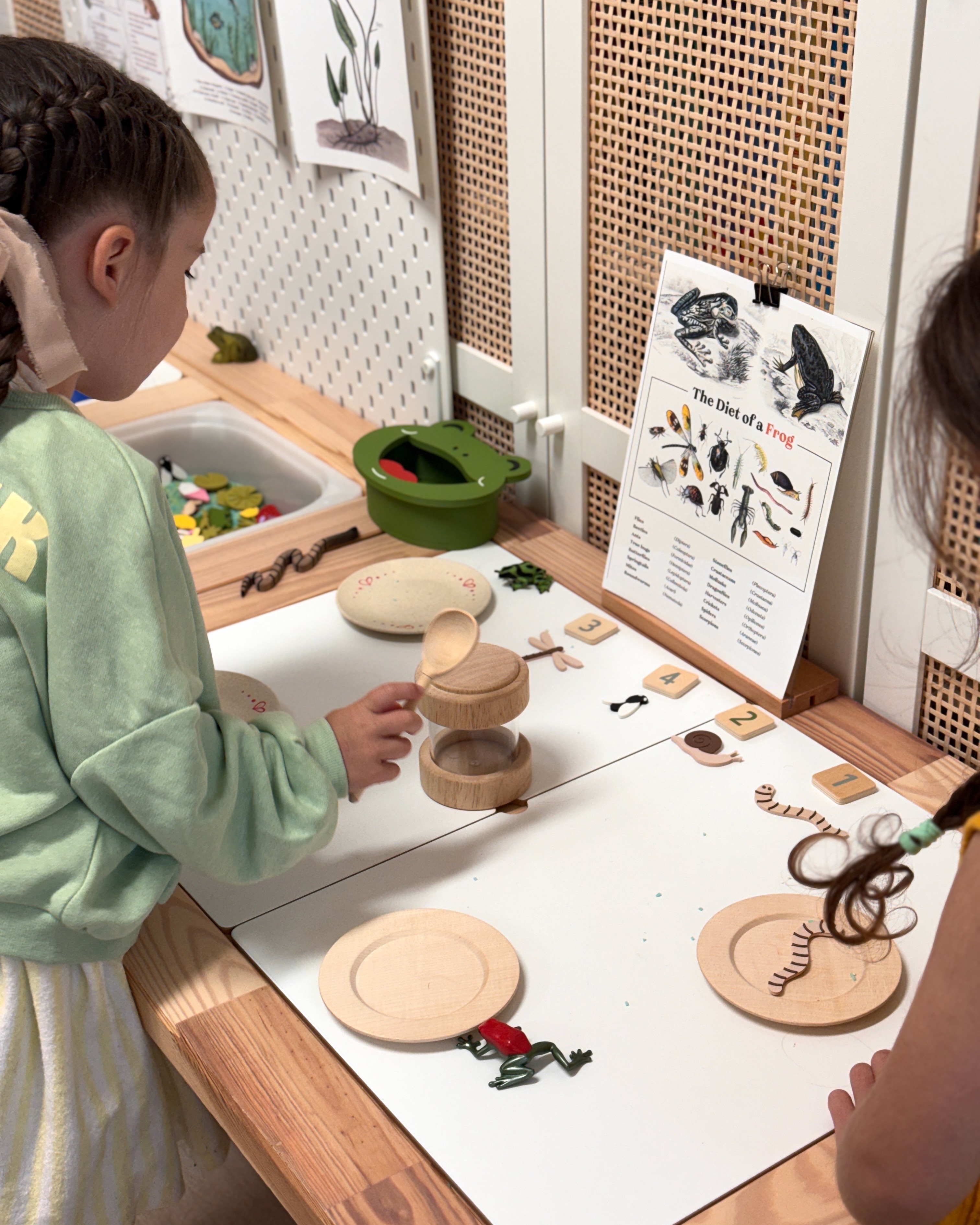 Children investigating frogs and what frogs eat through hands-on materials