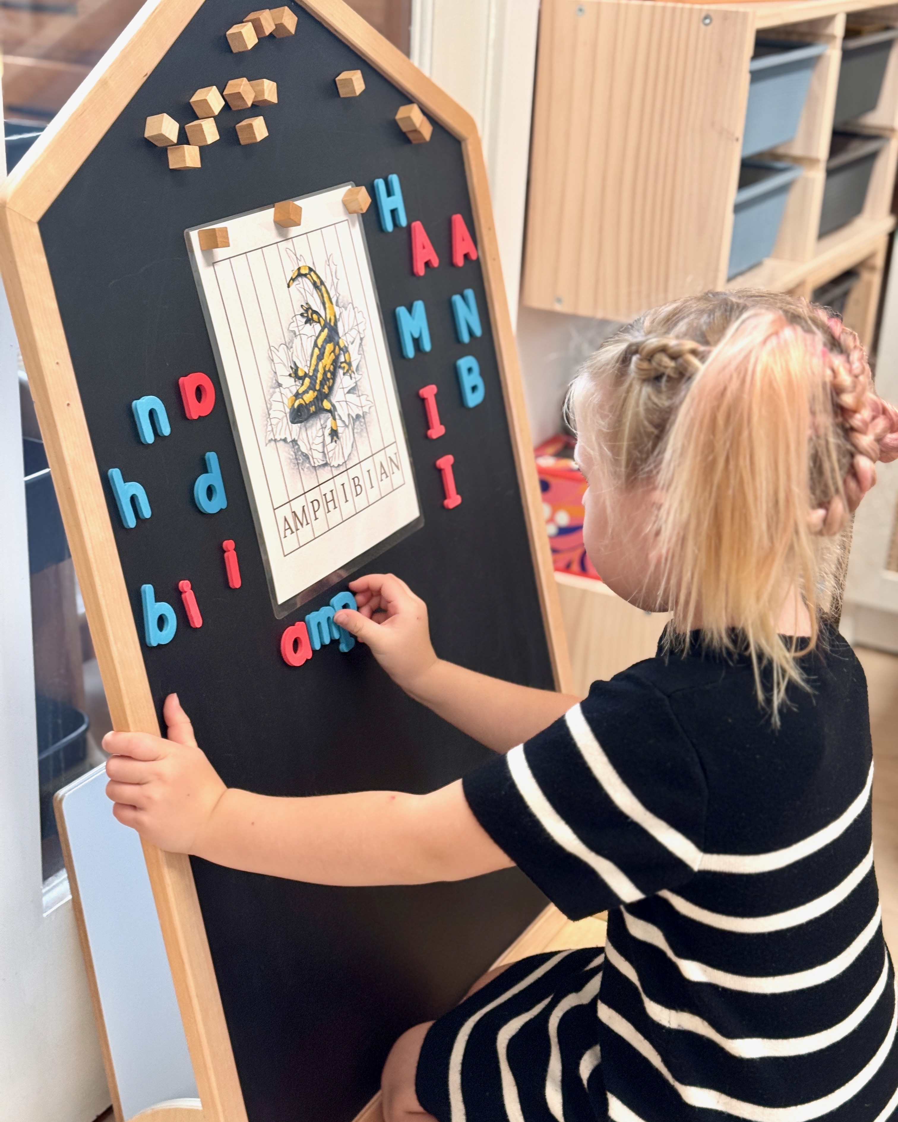 A child exploring letters during an amphibian-themed literacy activity