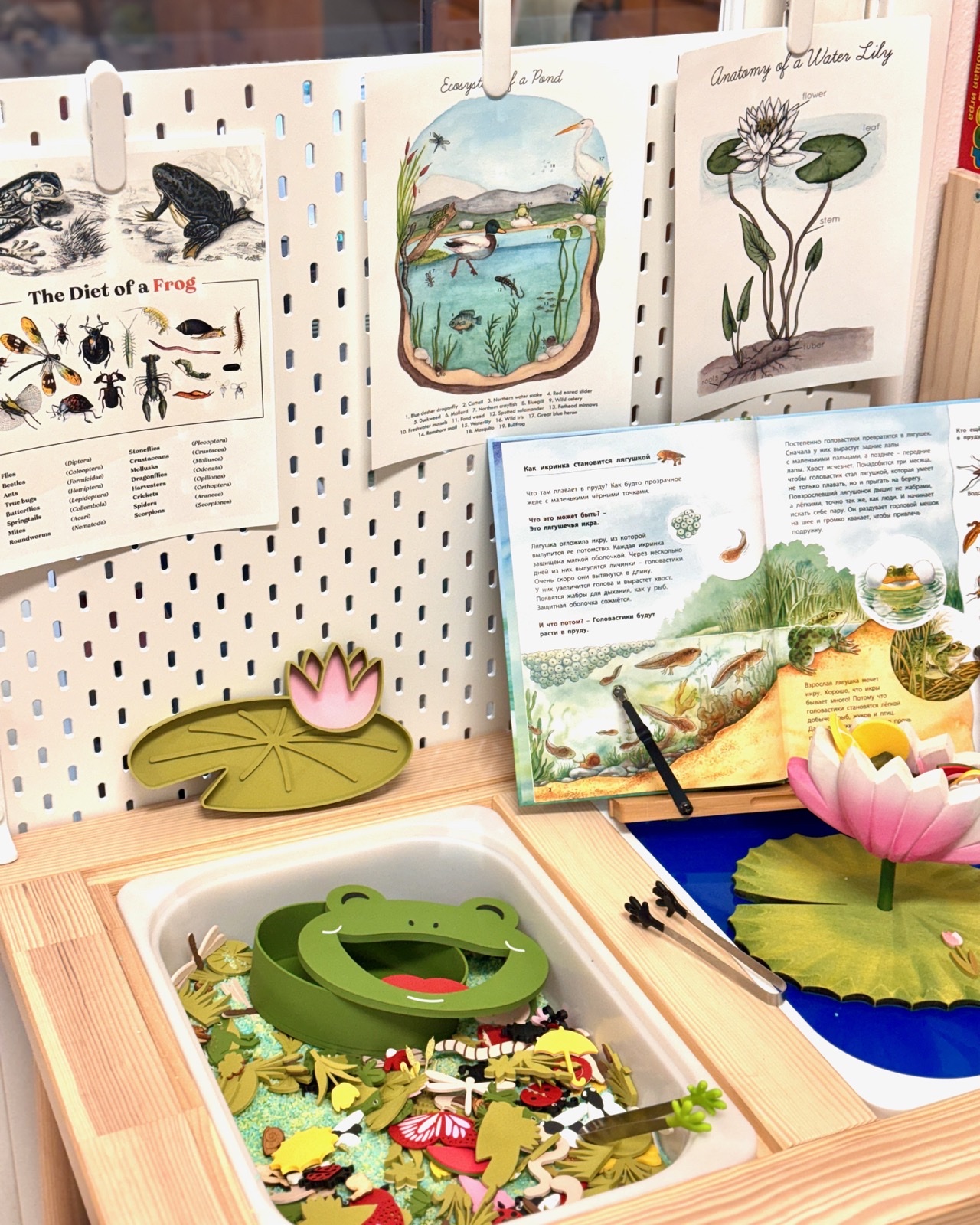 A pond-themed invitation to play with books, visual references, and sensory materials