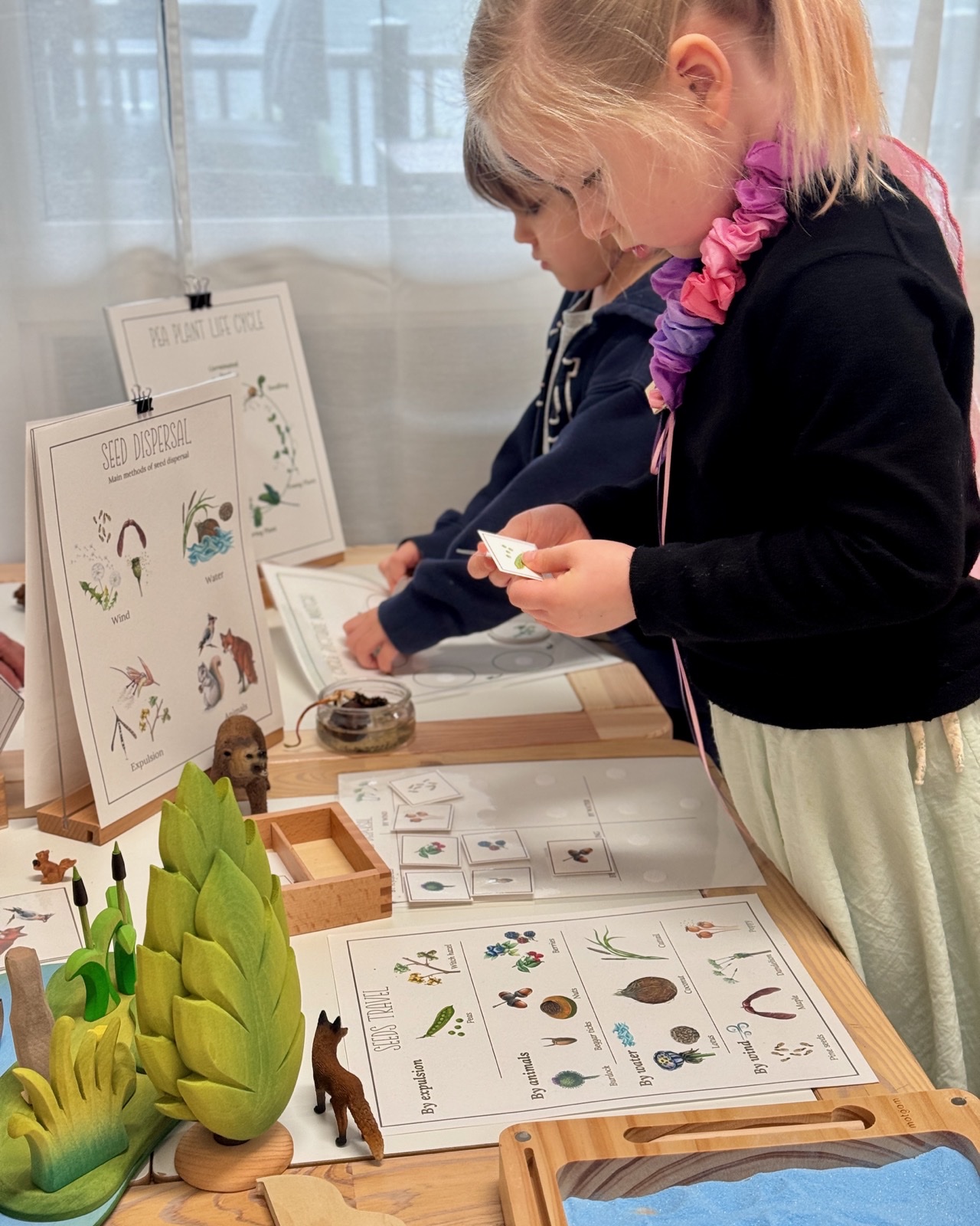 Children building vocabulary through a hands-on seed dispersal investigation