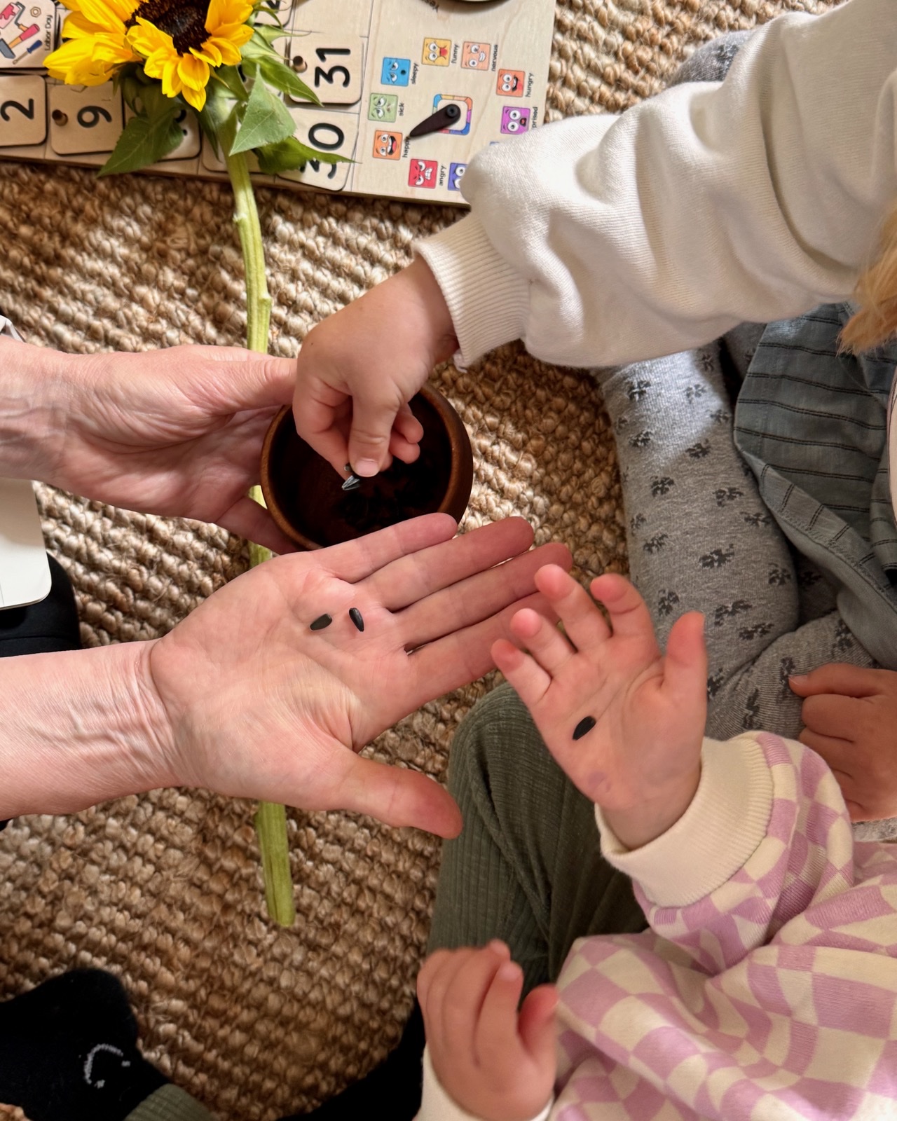 Children exploring sunflower seeds together with a Foxville Kids educator
